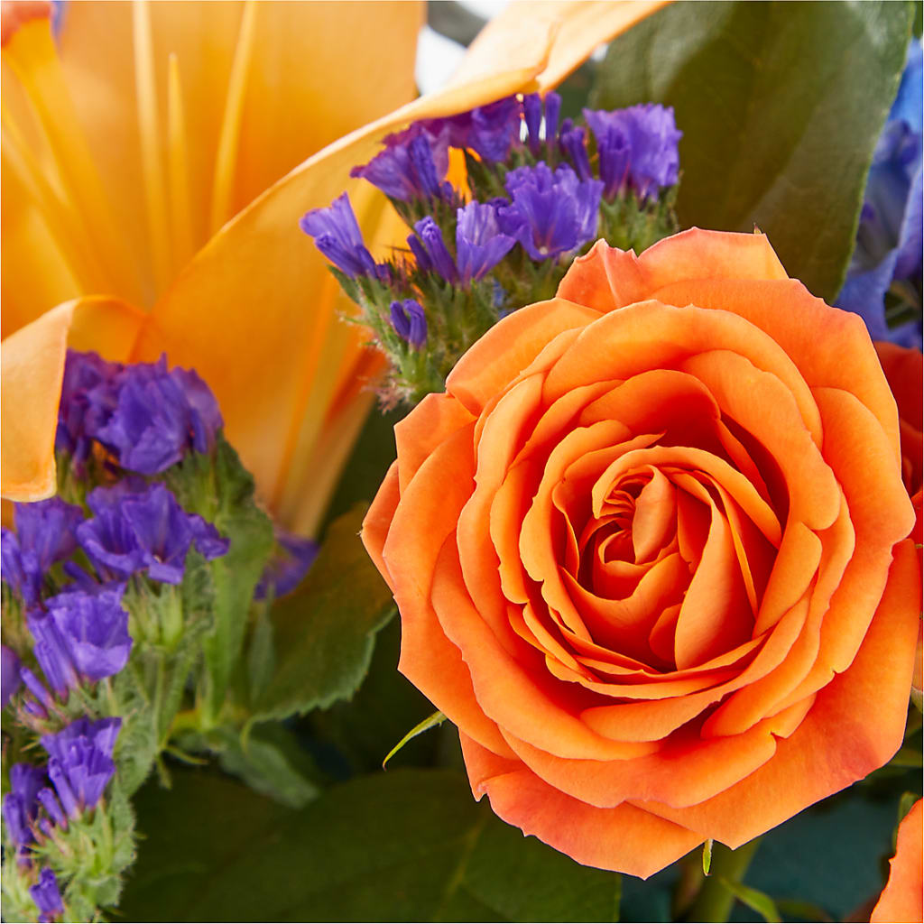 Radiant Citrus Box Bouquet – Diamond Flower Shop, Reading PA