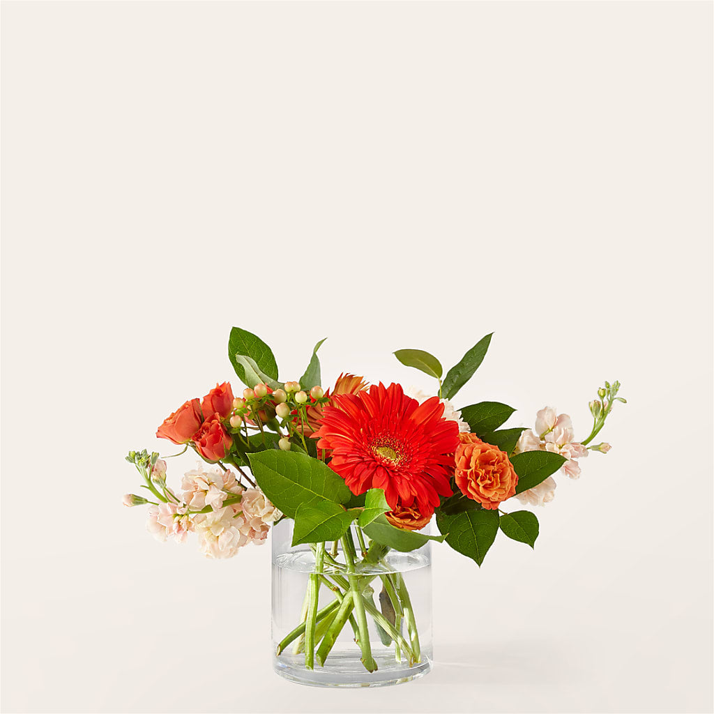 Paloma Please Bouquet – Diamond Flower Shop, Reading PA