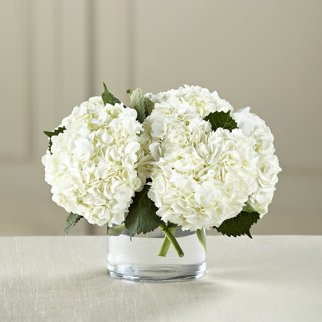 White Hydrangea Bouquet – Diamond Flower Shop, Reading PA