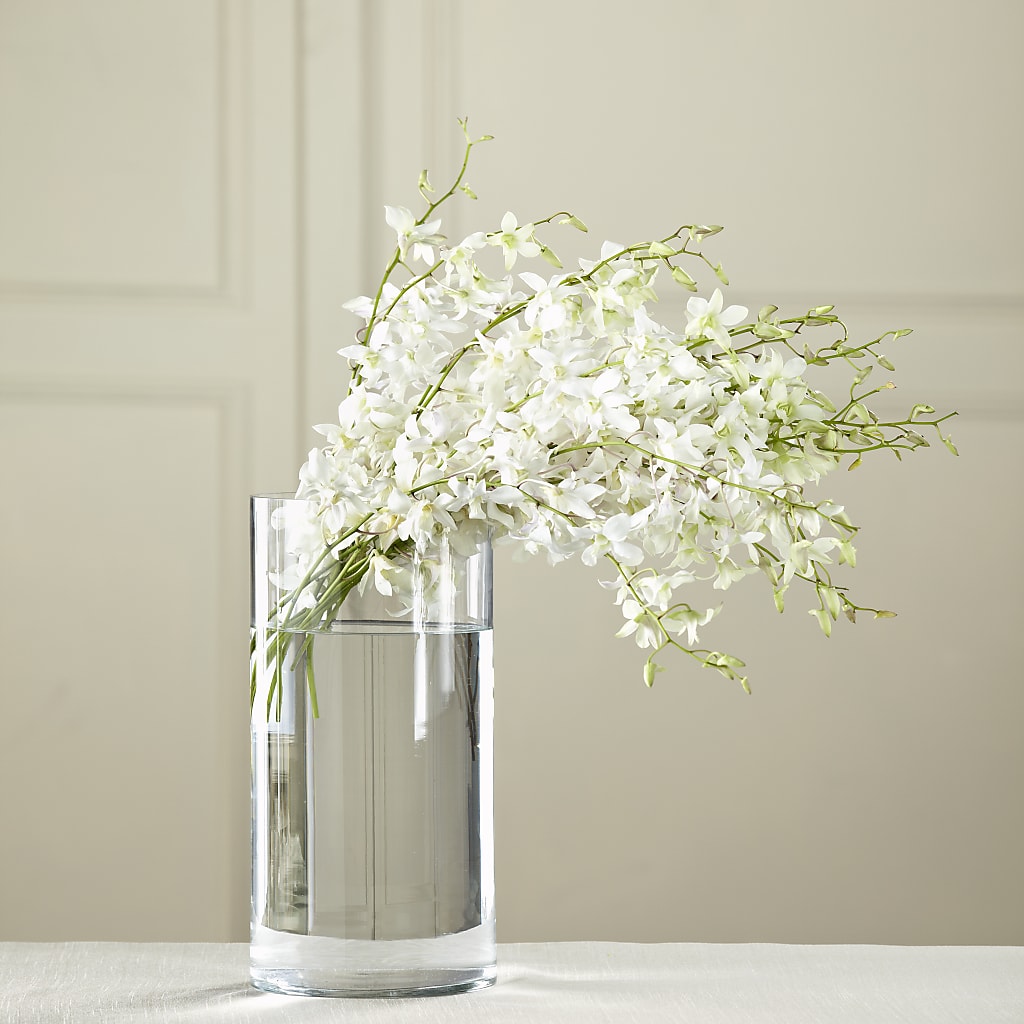 White Dendrobium Bouquet – Diamond Flower Shop, Reading PA