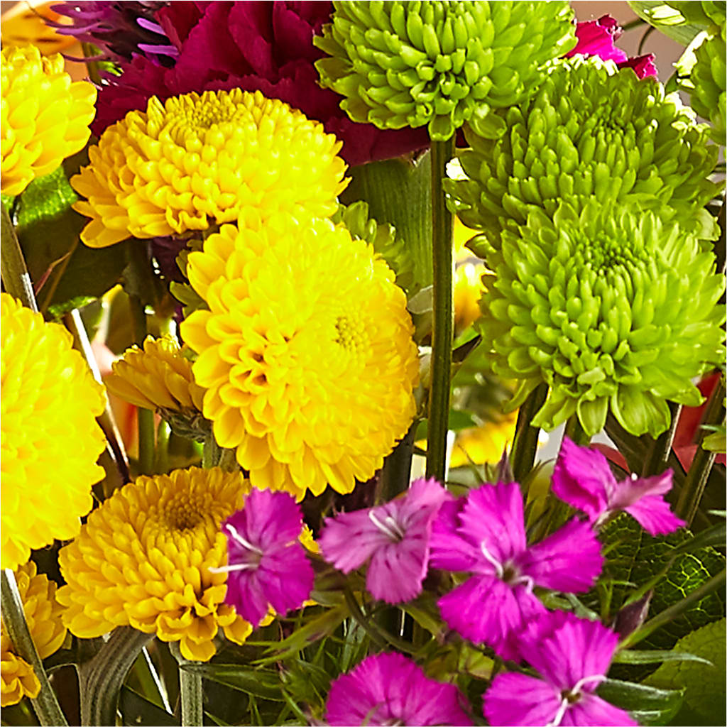 Bold & Bright – A Florist Original –  Diamond Flower Shop, Reading PA