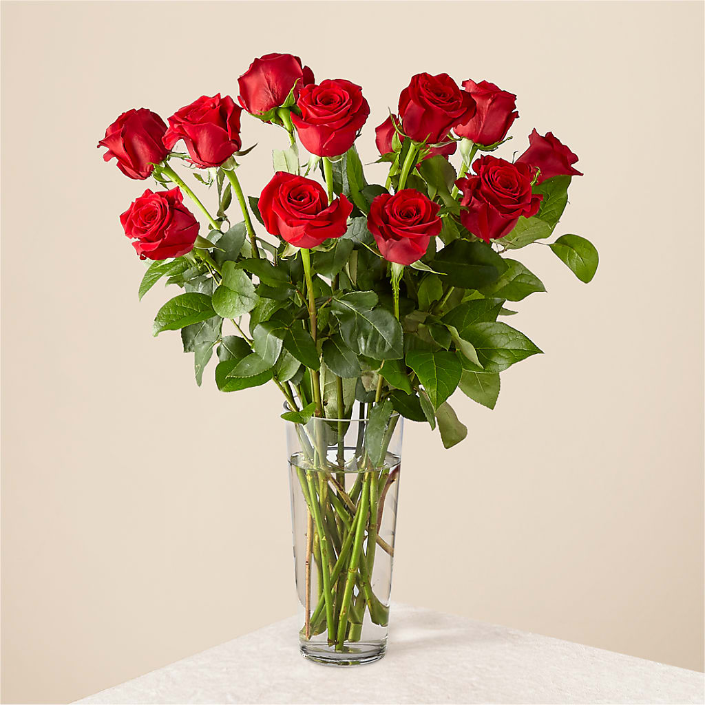 Long Stem Red Rose Bouquet –  Diamond Flower Shop, Reading PA
