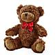 Adorable Plush Bear –  Diamond Flower Shop, Reading PA