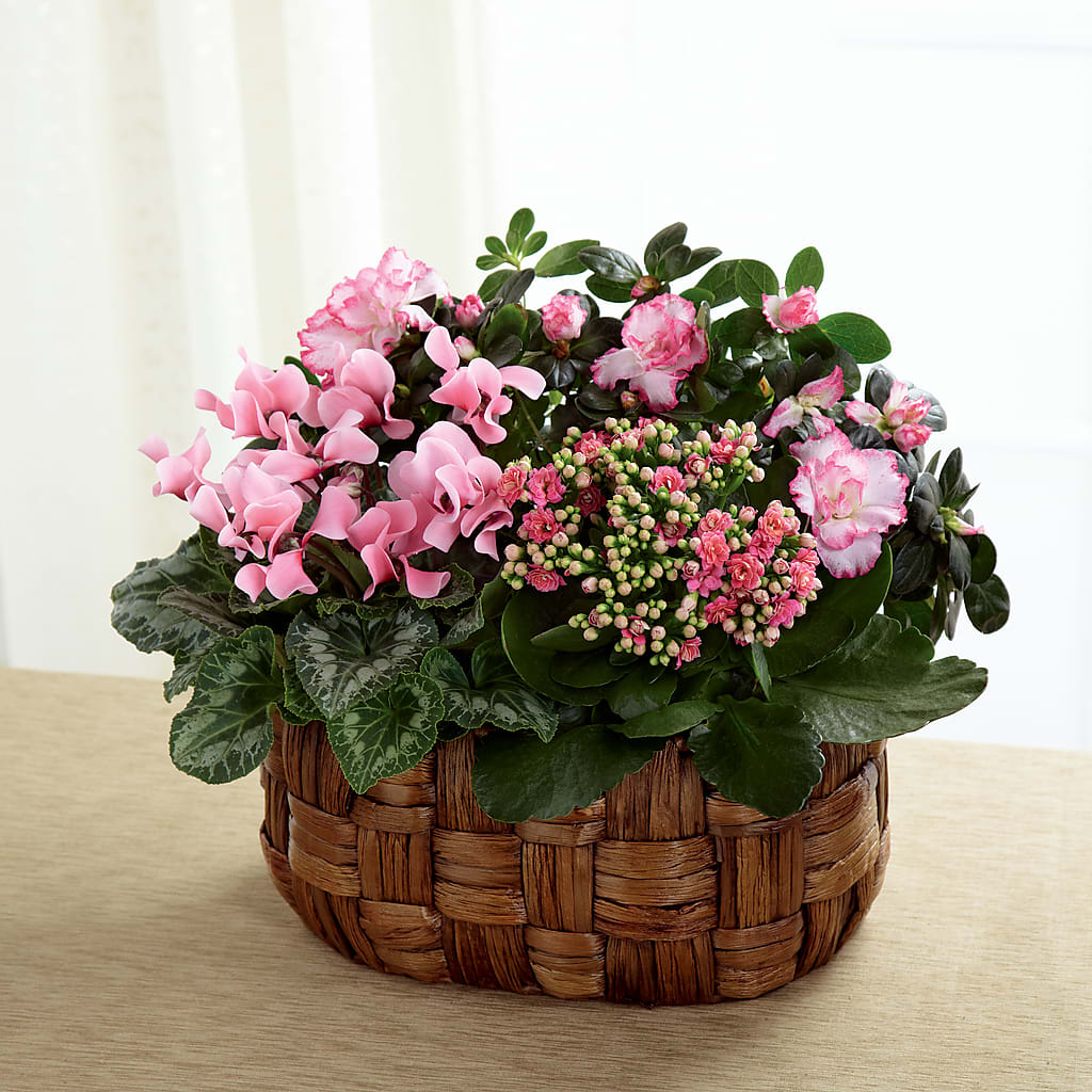 Pink Assortment –  Diamond Flower Shop, Reading PA