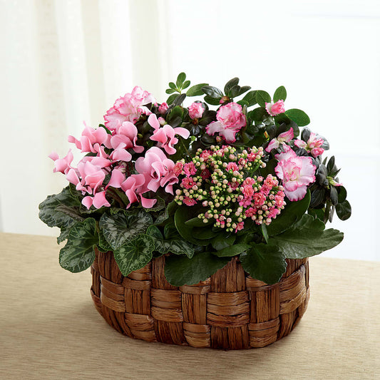 Pink Assortment –  Diamond Flower Shop, Reading PA
