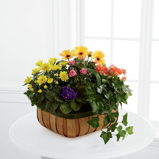 Gentle Blossoms Basket –  Diamond Flower Shop, Reading PA