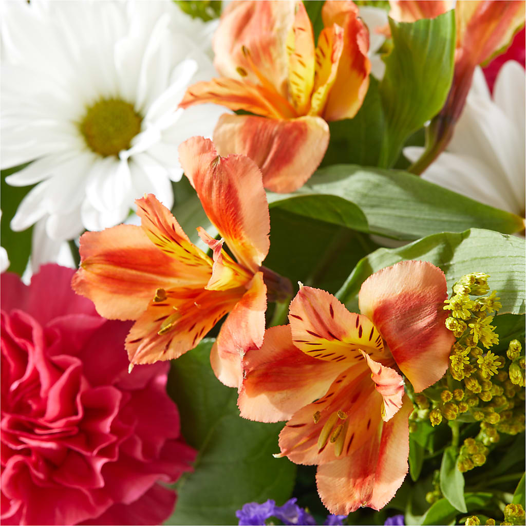 Oopsie Daisy Box Bouquet –  Diamond Flower Shop, Reading PA