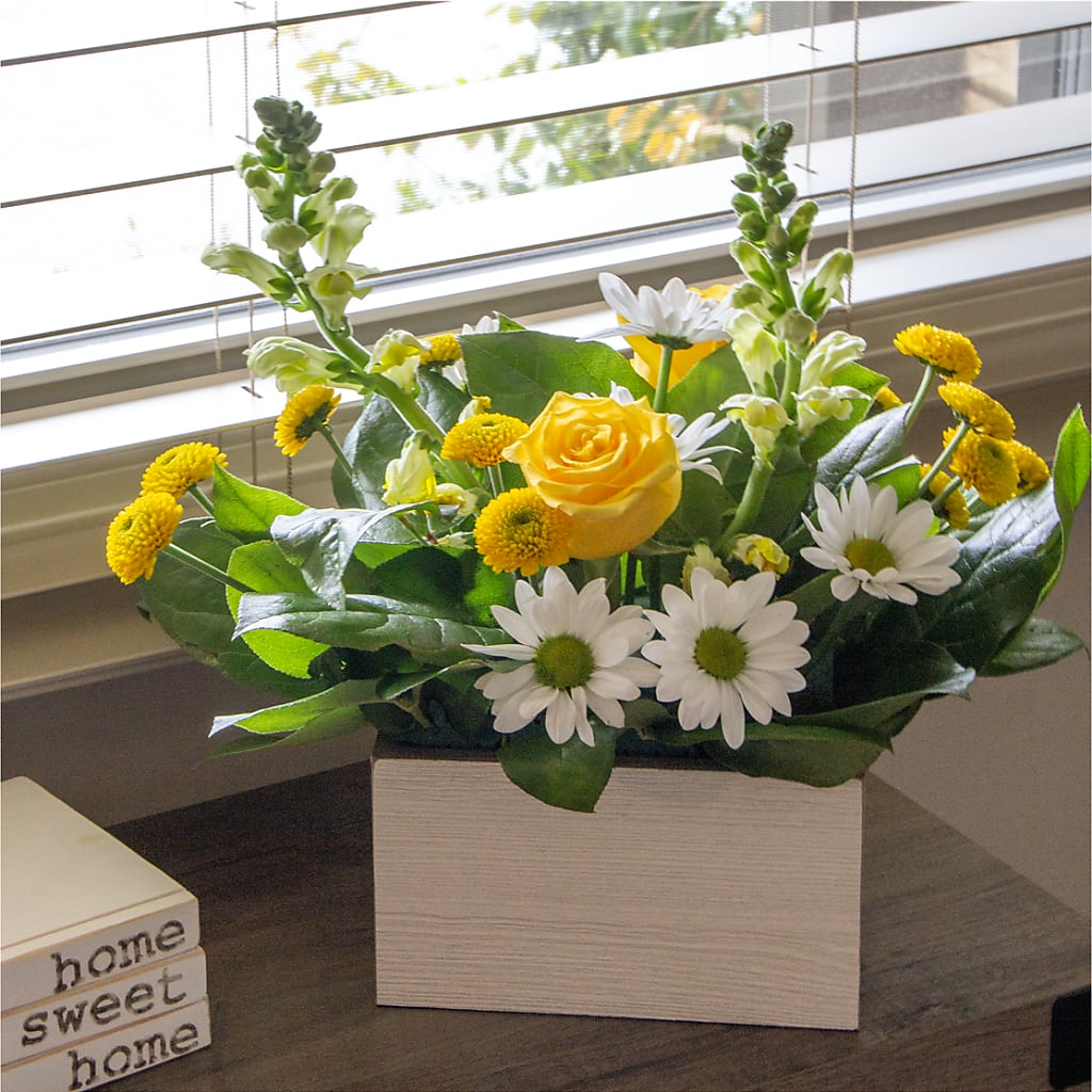 Sun Salutation Box Bouquet –  Diamond Flower Shop, Reading PA