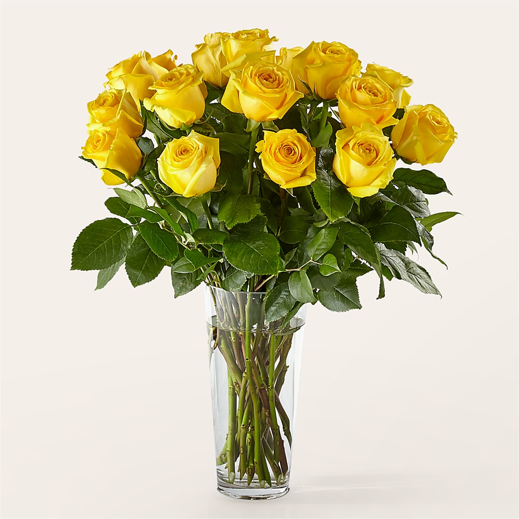 Long Stem Yellow Rose Bouquet –  Diamond Flower Shop, Reading PA