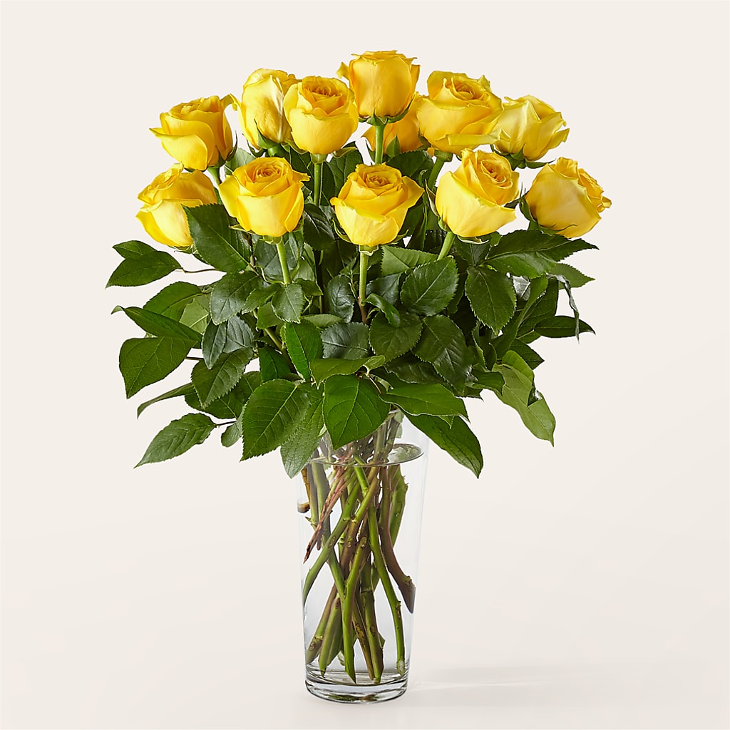 Long Stem Yellow Rose Bouquet –  Diamond Flower Shop, Reading PA
