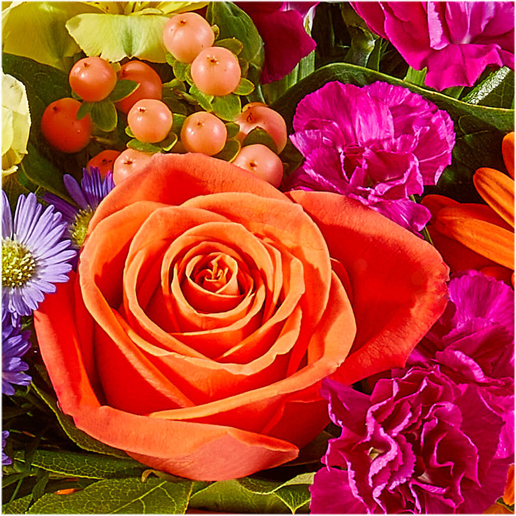 Tricks & Treats Pumpkin –  Diamond Flower Shop, Reading PA