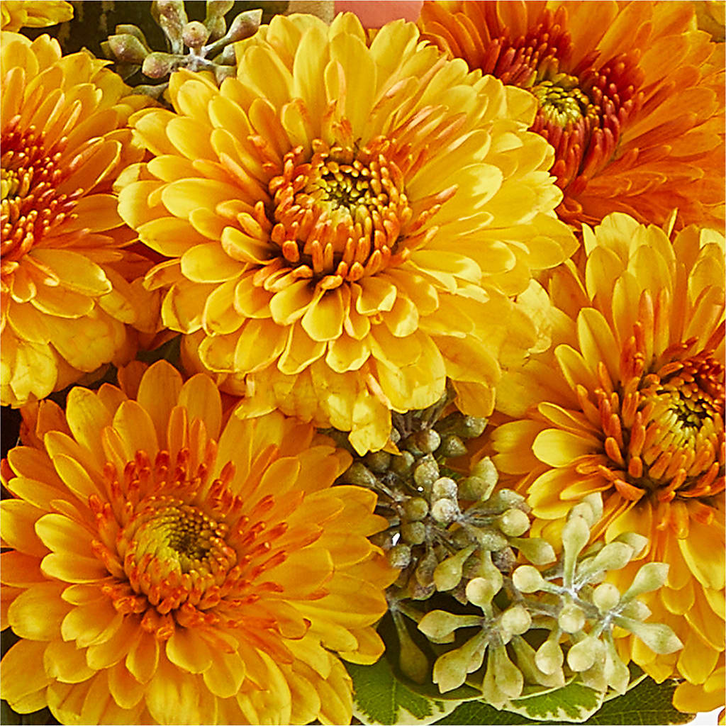 Peachy Pumpkin –  Diamond Flower Shop, Reading PA
