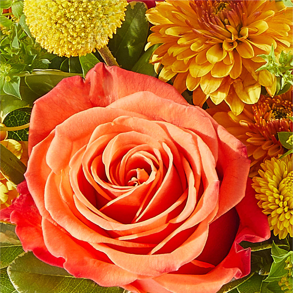 Gourdgeous Pumpkin –  Diamond Flower Shop, Reading PA