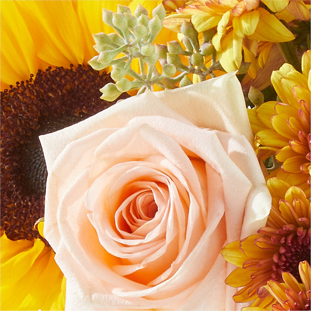 Pumpkin to Talk About Bouquet –  Diamond Flower Shop, Reading PA