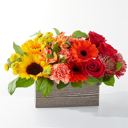 Autumn Orchard Bouquet –  Diamond Flower Shop, Reading PA