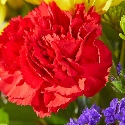 Brighter Days Bouquet –  Diamond Flower Shop, Reading PA