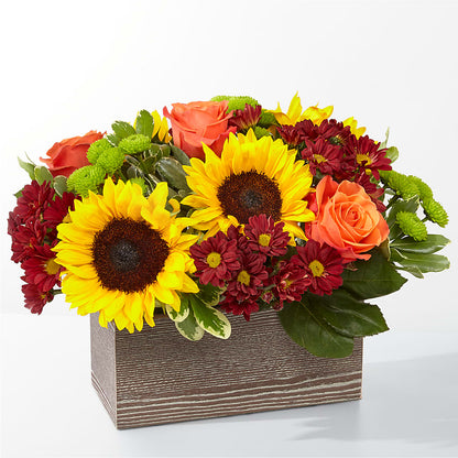 Happy Harvest Garden –  Diamond Flower Shop, Reading PA
