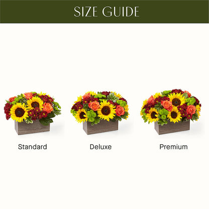Happy Harvest Garden –  Diamond Flower Shop, Reading PA