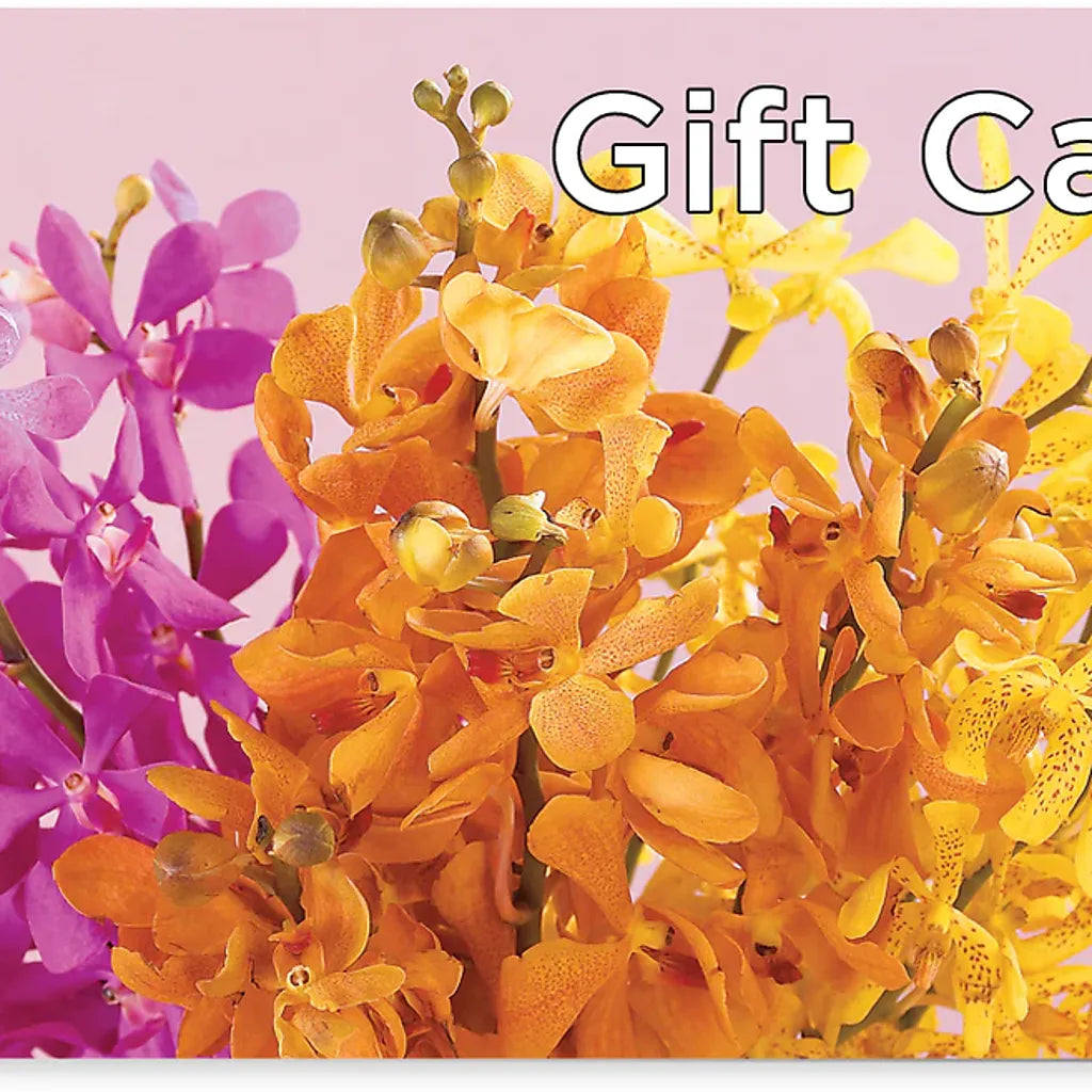 Gift Card –  Diamond Flower Shop, Reading PA