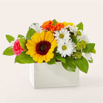 Sun-drenched Blooms Box Bouquet –  Diamond Flower Shop, Reading PA