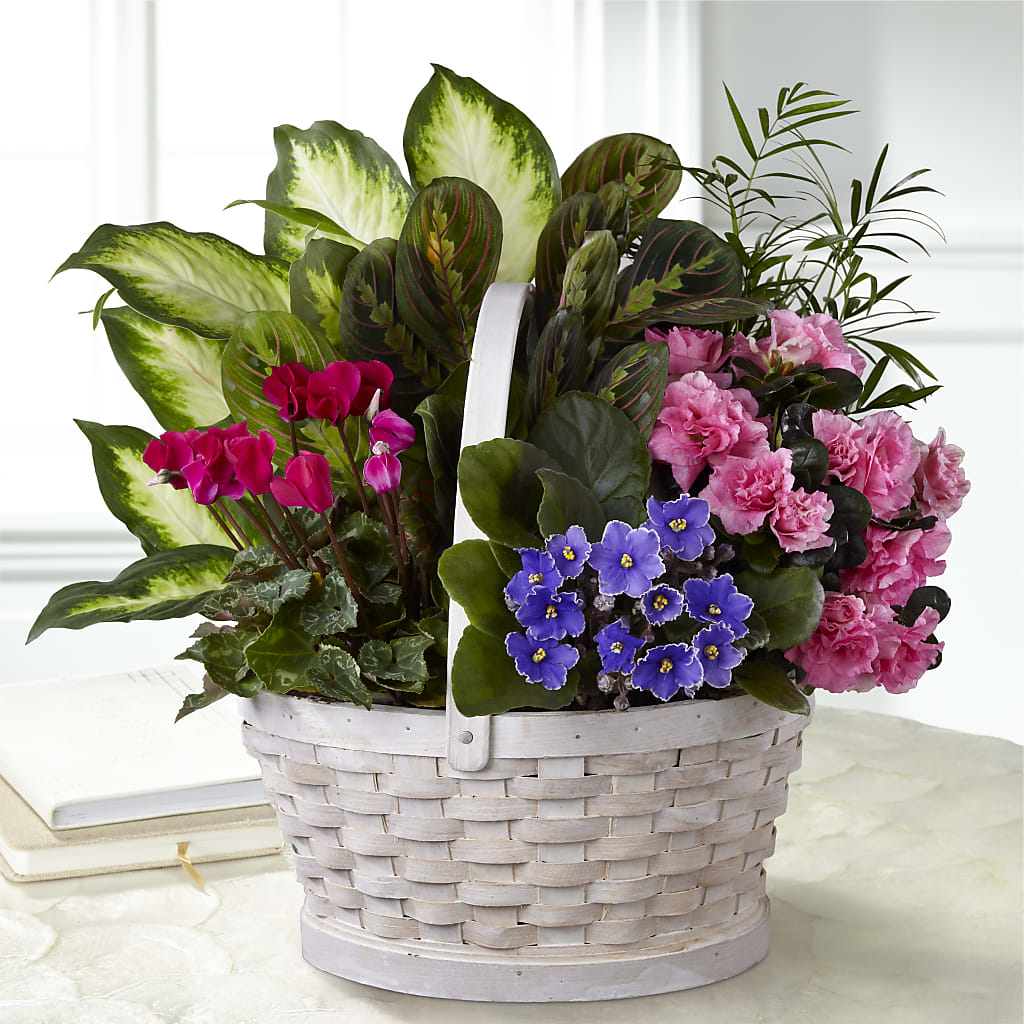 Peaceful Garden Planter –  Diamond Flower Shop, Reading PA
