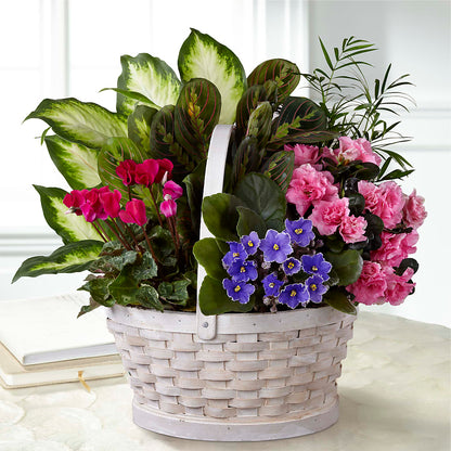 Peaceful Garden Planter –  Diamond Flower Shop, Reading PA