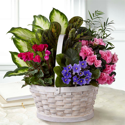 Peaceful Garden Planter –  Diamond Flower Shop, Reading PA