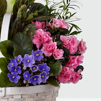 Peaceful Garden Planter –  Diamond Flower Shop, Reading PA