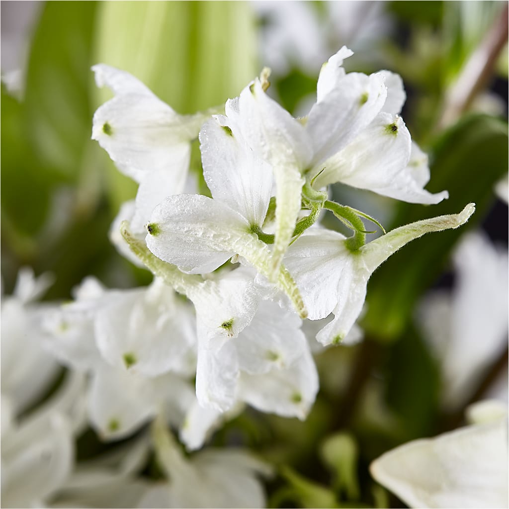 Classic Ivory – A Florist Original –  Diamond Flower Shop, Reading PA