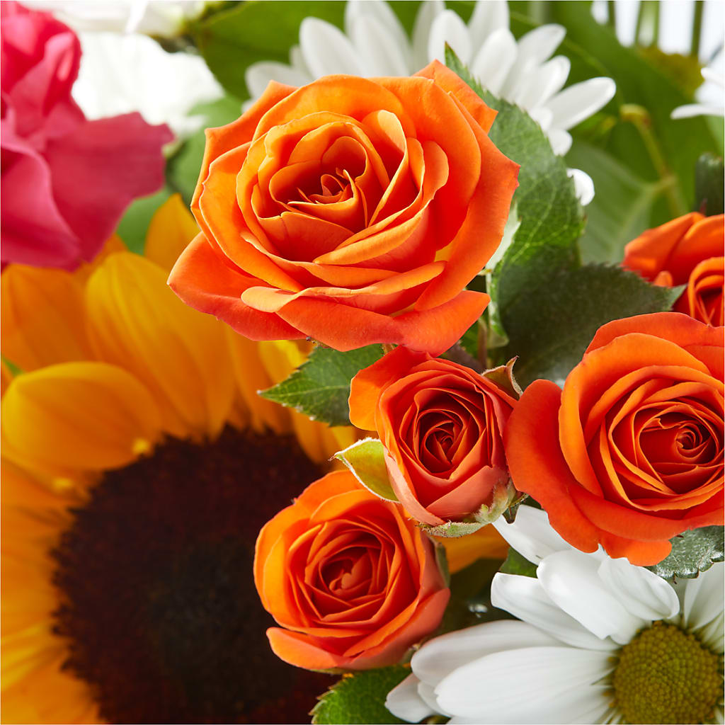 Sun-drenched Blooms Bouquet –  Diamond Flower Shop, Reading PA