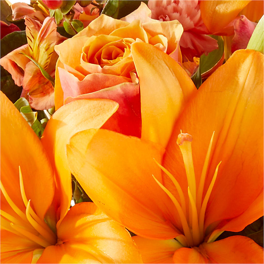 Afternoon Light Bouquet –  Diamond Flower Shop, Reading PA