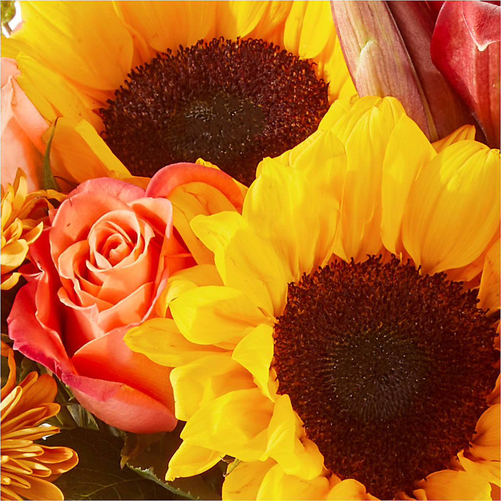 Acorn Lane Bouquet –  Diamond Flower Shop, Reading PA