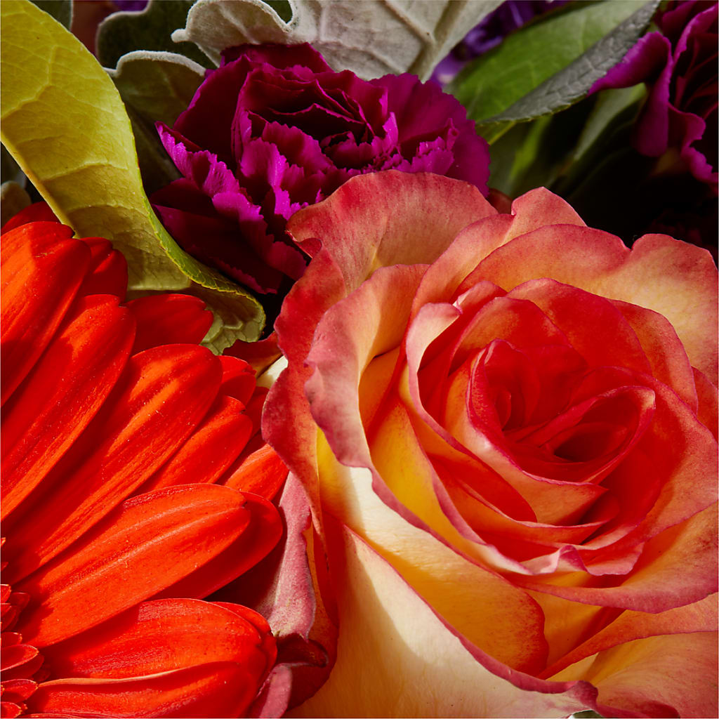 Sangria Bouquet –  Diamond Flower Shop, Reading PA