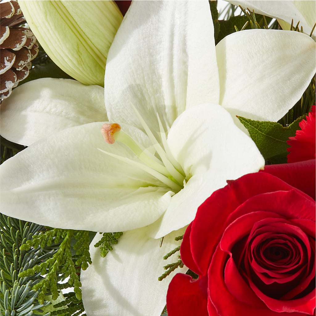 Oh So Jolly Bouquet –  Diamond Flower Shop, Reading PA
