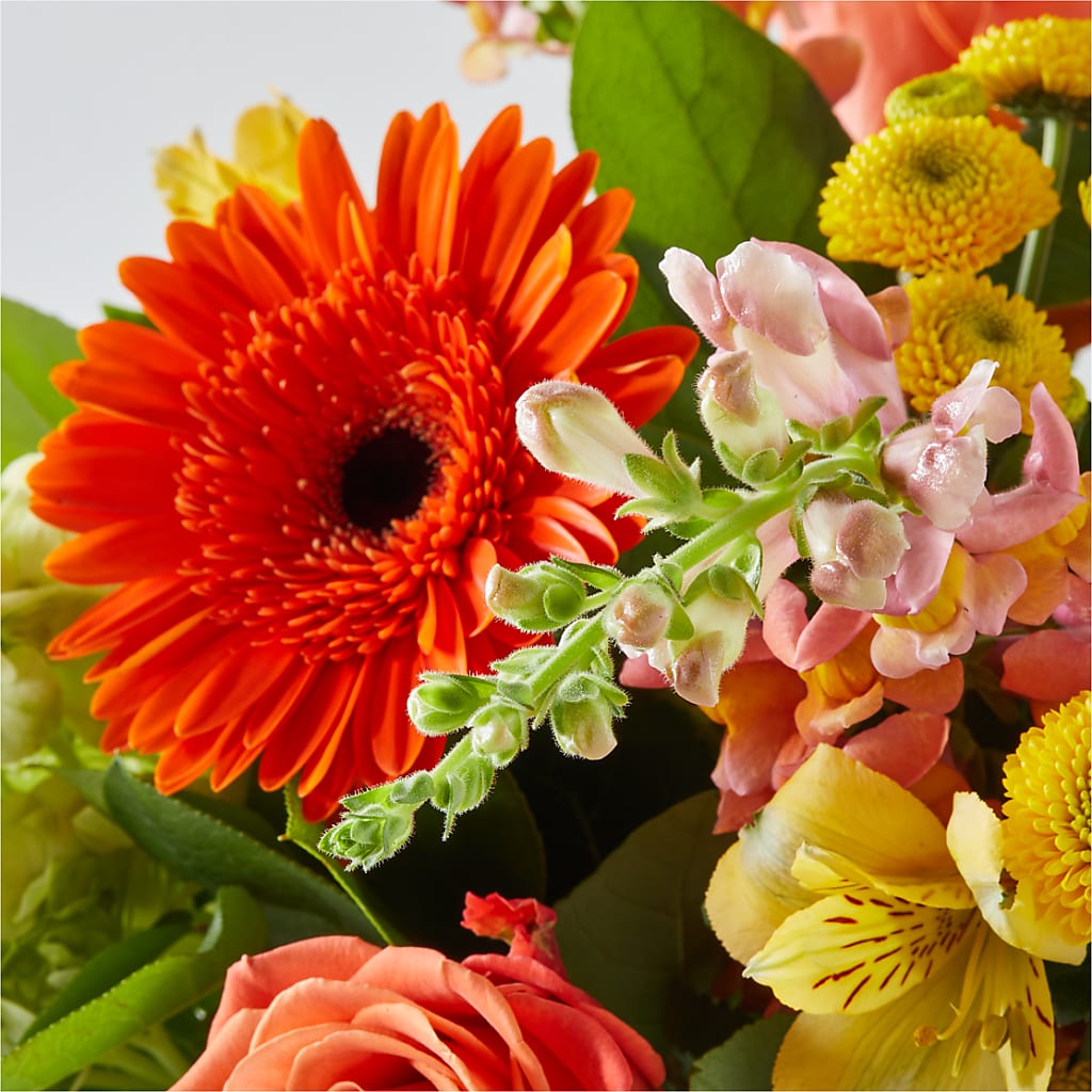 Autumn Sunshine Bouquet –  Diamond Flower Shop, Reading PA
