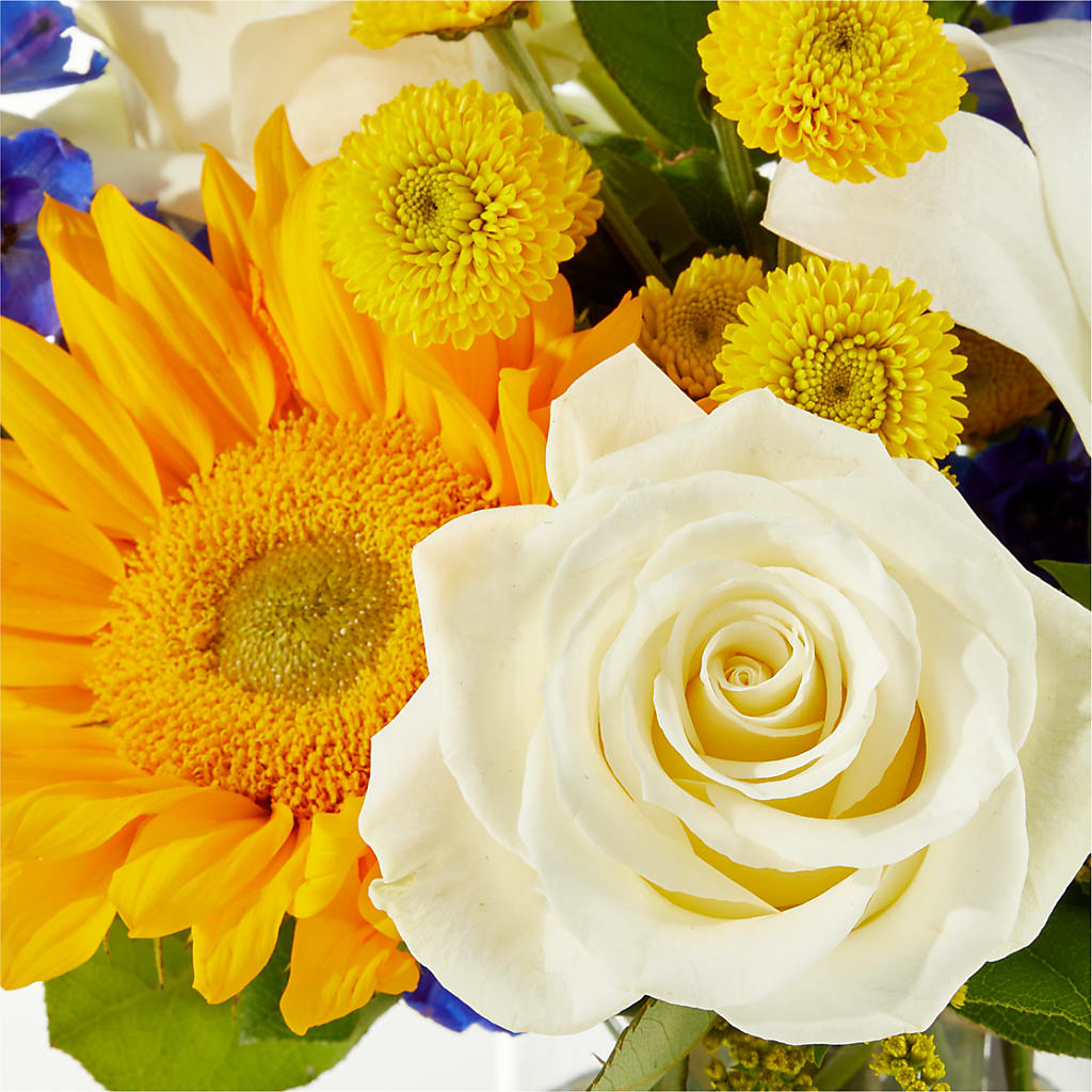 Stargazing Bouquet –  Diamond Flower Shop, Reading PA