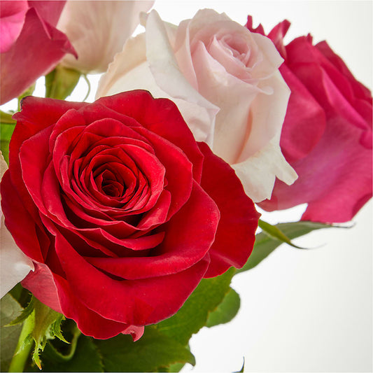 Charming Rose Bouquet –  Diamond Flower Shop, Reading PA