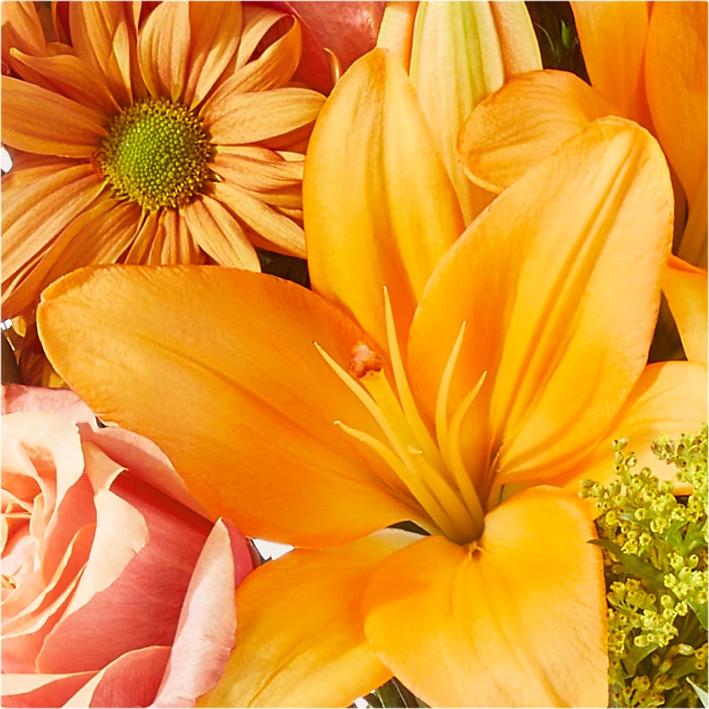 Harvest Hayride Bouquet –  Diamond Flower Shop, Reading PA
