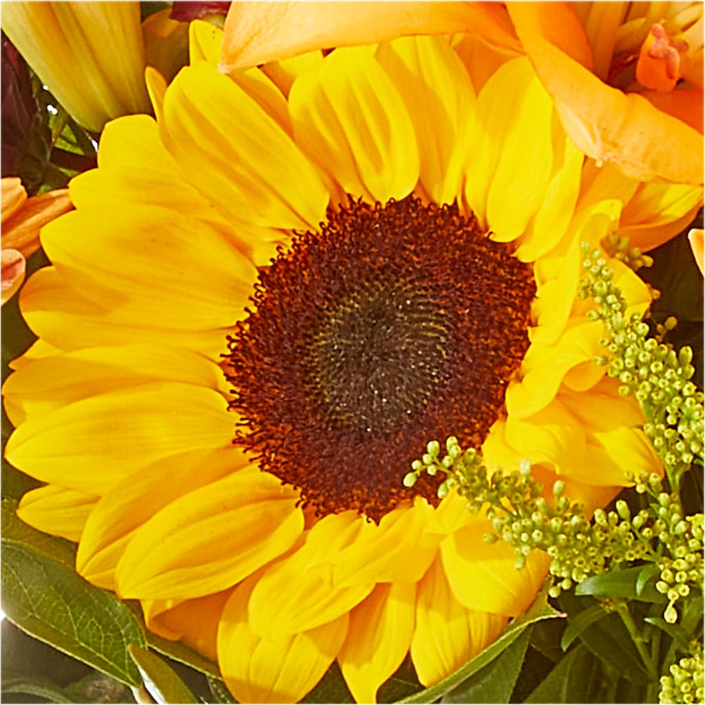 Seasons Change Bouquet –  Diamond Flower Shop, Reading PA