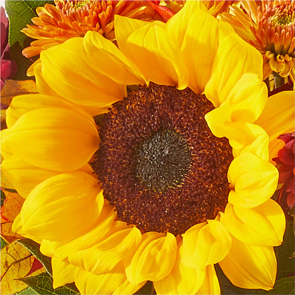 Sunny Side Bouquet –  Diamond Flower Shop, Reading PA