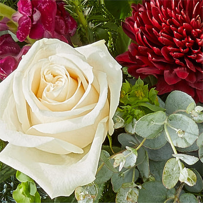Cranberry Fizz Bouquet –  Diamond Flower Shop, Reading PA