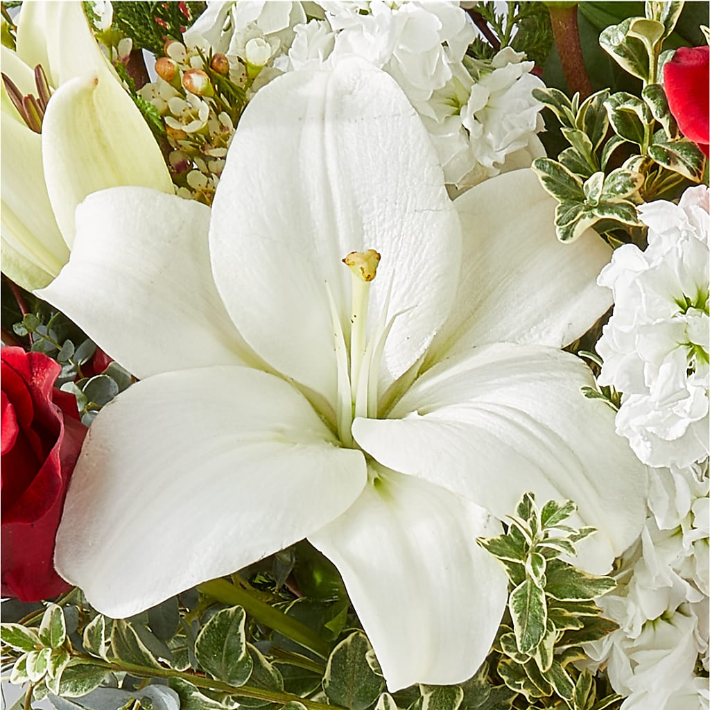 Twinkle Lights Bouquet –  Diamond Flower Shop, Reading PA
