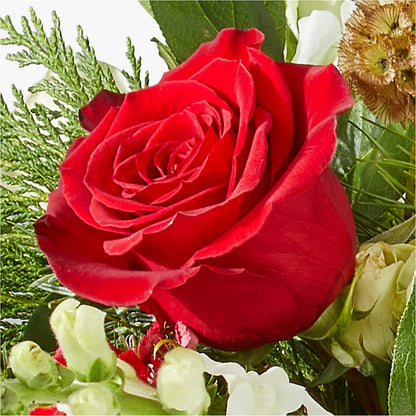 Deck the Halls Bouquet –  Diamond Flower Shop, Reading PA