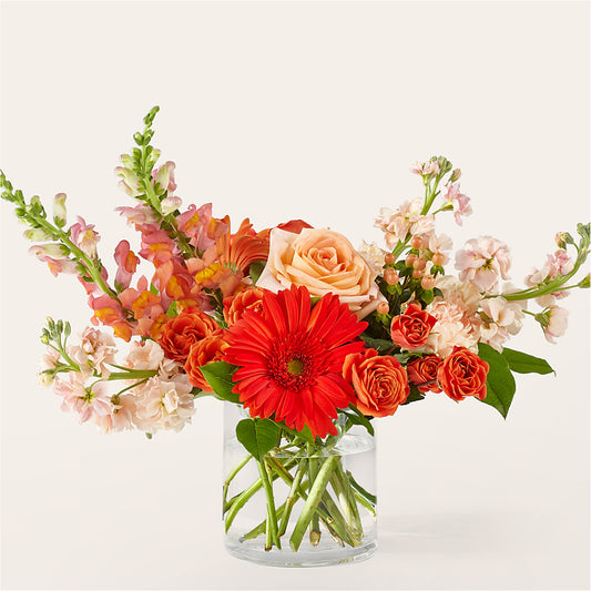 Paloma Please Bouquet –  Diamond Flower Shop, Reading PA