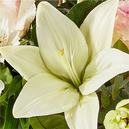 Ballet Slippers Bouquet –  Diamond Flower Shop, Reading PA