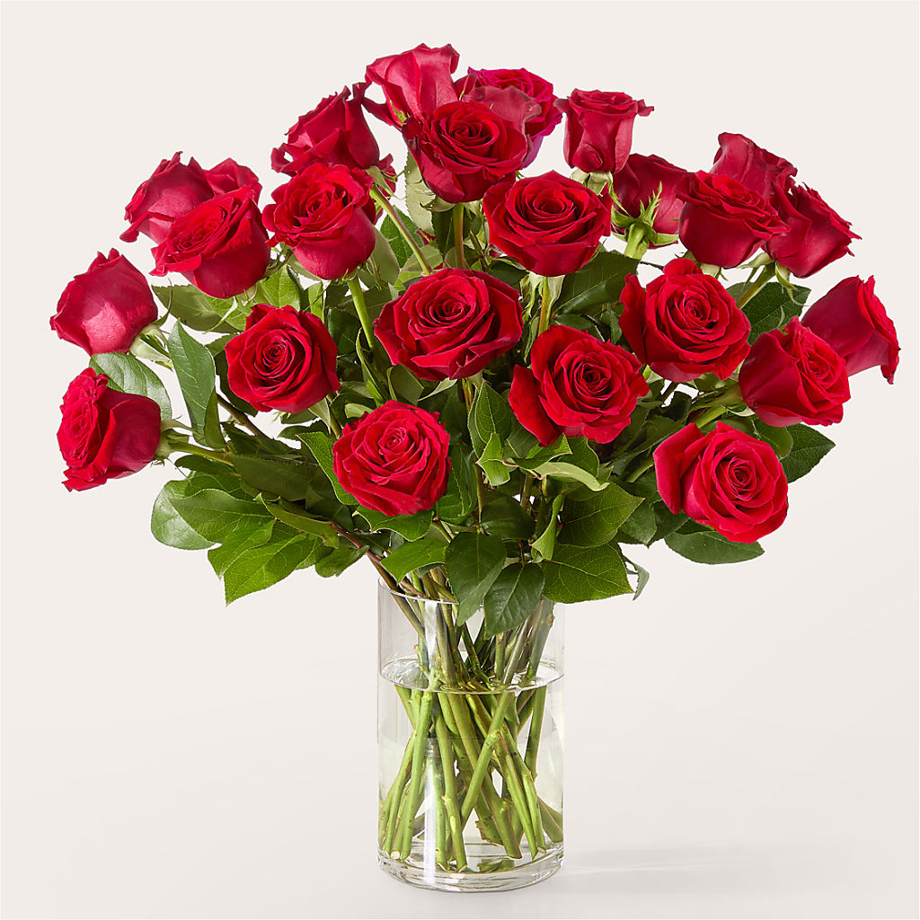 The One Red Rose Bouquet –  Diamond Flower Shop, Reading PA