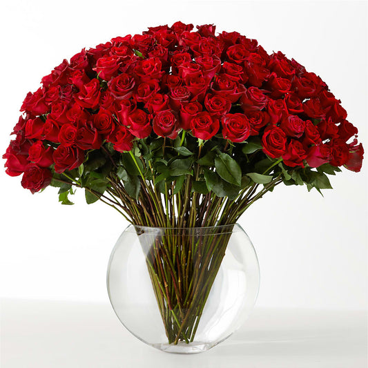 The Idealist –  Diamond Flower Shop, Reading PA