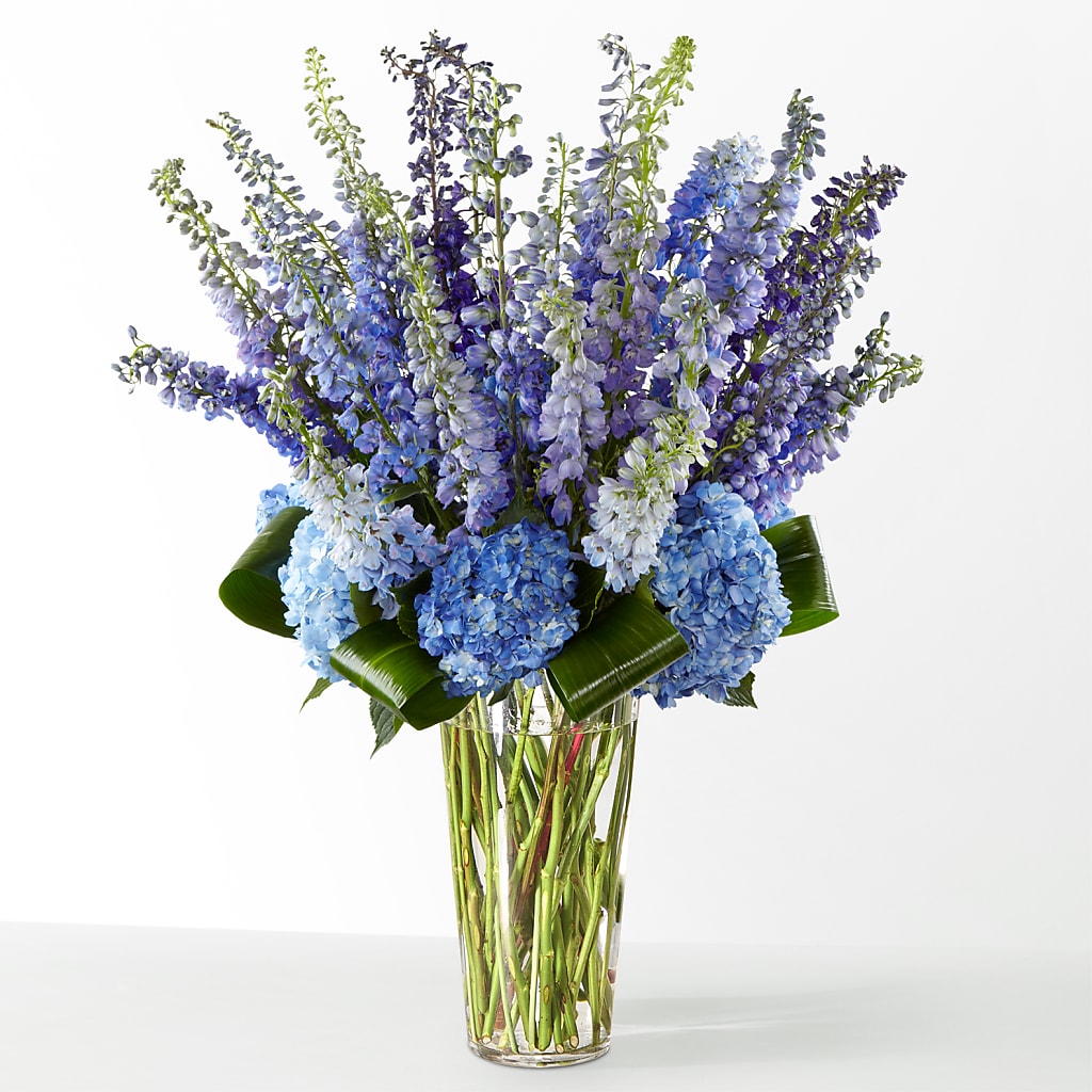 The Editorial –  Diamond Flower Shop, Reading PA