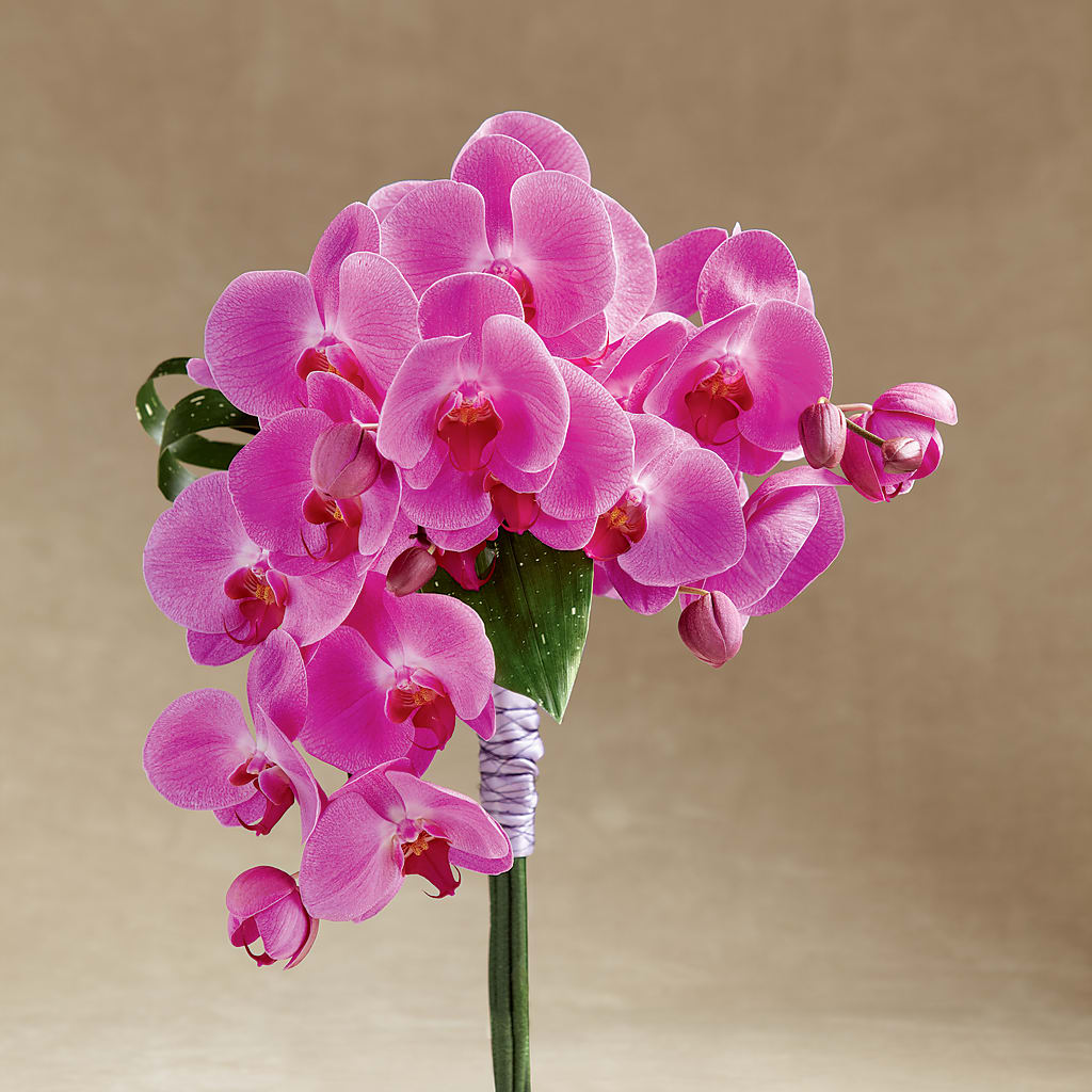 Glorious Bouquet –  Diamond Flower Shop, Reading PA