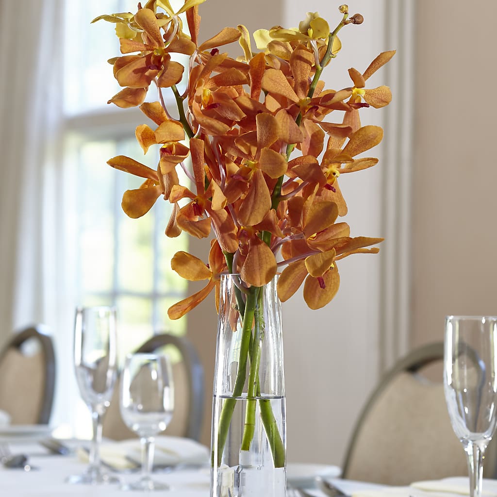 Orange Mokara Bud Vase –  Diamond Flower Shop, Reading PA